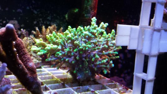 20140222_195433.jpg