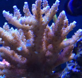 IMG_5443.jpg