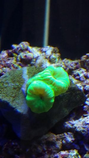 20140226_161033.jpg