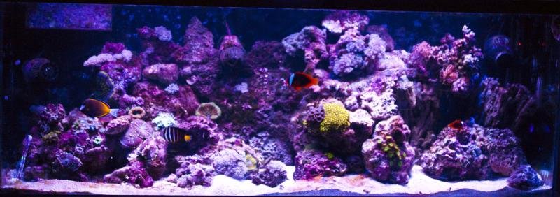 125g.jpg