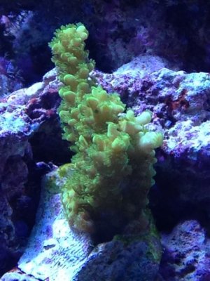 IMG_0420.jpg