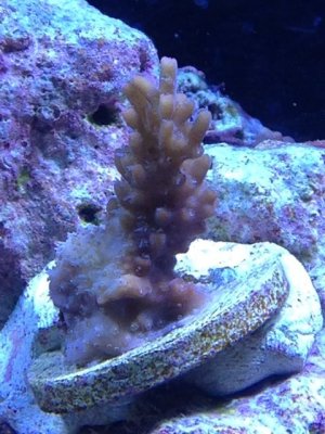 IMG_0421.jpg