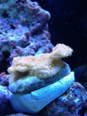 IMG_0422.jpg