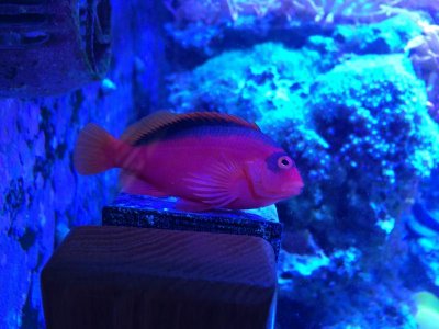 IMG_2062.jpg