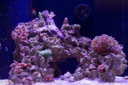 Jan242014-1.jpg