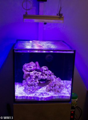 FTS-10242013-2.jpg