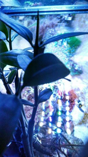 uploadfromtaptalk1392065607889.jpg uploadfromtaptalk1392065607889.jpg