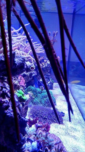 uploadfromtaptalk1392065647882.jpg uploadfromtaptalk1392065647882.jpg