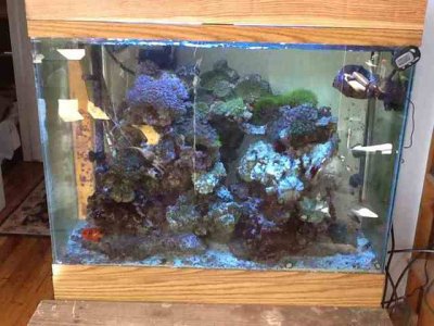 ImageUploadedByTapatalk1393705004.500111.jpg ImageUploadedByTapatalk1393705004.500111.jpg