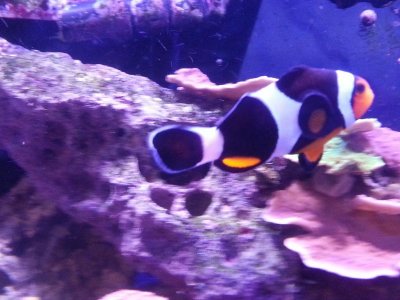 2014-02-12 17.54.37.jpg