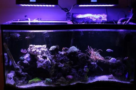 fts resized.jpg