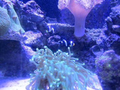 2014-02-01 06.39.19.jpg