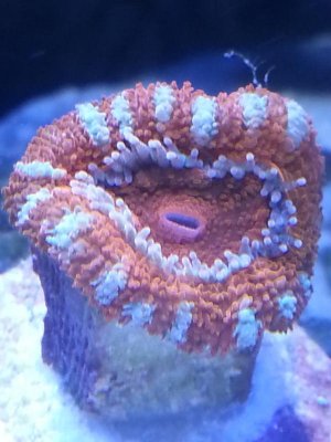 20140130_143311.jpg