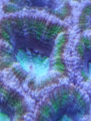 20140222_133757.jpg