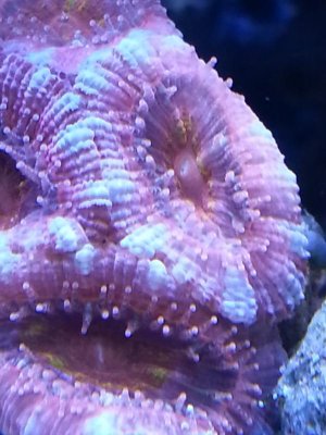 20140222_134631.jpg