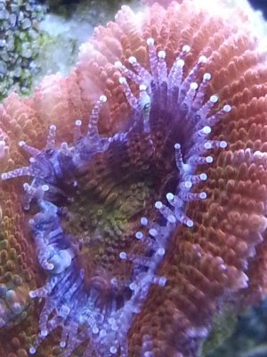 20140301_145959.jpg
