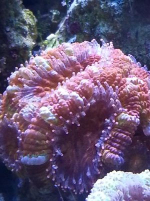 20140222_134421.jpg