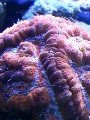 20140222_134441.jpg