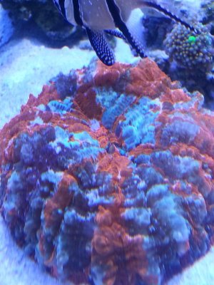 20140220_134412.jpg