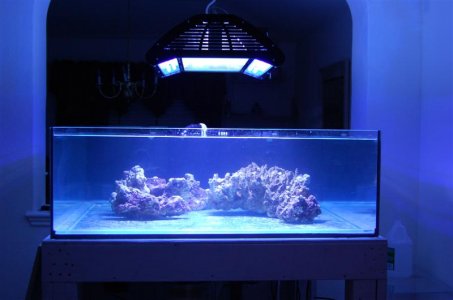 DSC_1411 (Medium).JPG