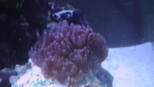 IMGA0004.jpg