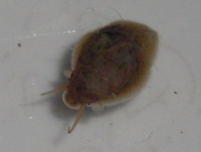 CIMG0603.JPG