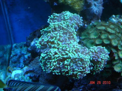 DSC03850.jpg