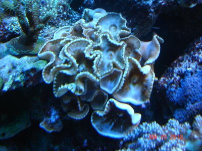 DSC03853.jpg