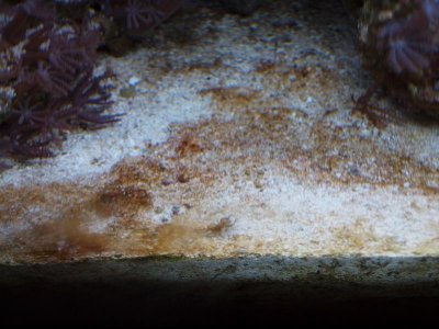 P1281473.jpg