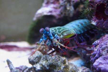 DSC_0302.jpg