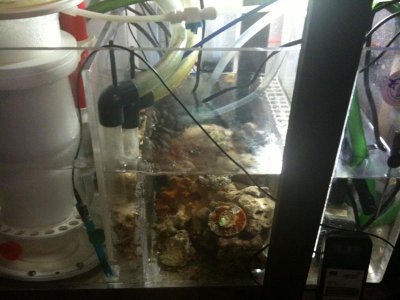 sump1.jpg