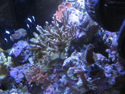 201028sponge2 0012.jpg