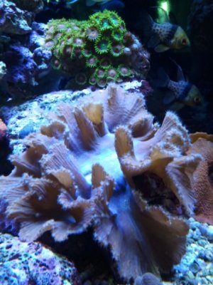 2014-03-03 12.31.39.jpg