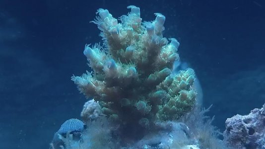 IMAG0315.jpg