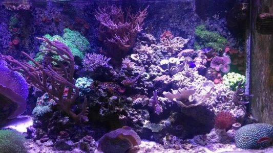 XENIA REFUGIUM 3.jpg