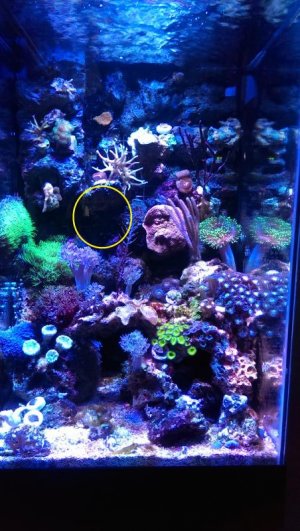 FTS feb14.jpg