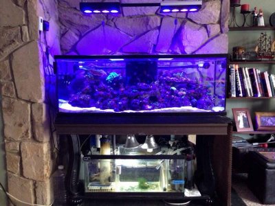 ImageUploadedByTapatalk1392503452.285039.jpg ImageUploadedByTapatalk1392503452.285039.jpg