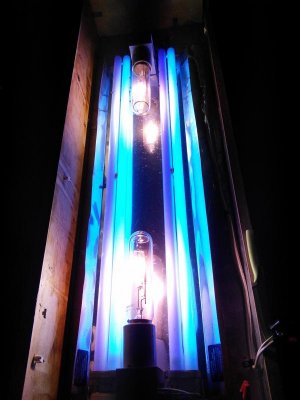 IMG_20140211_164948.jpg