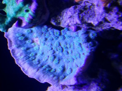 20140125_174348.jpg