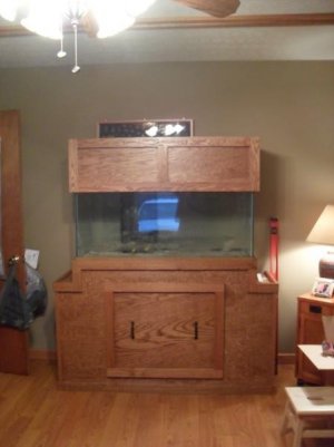 resize 5.jpg