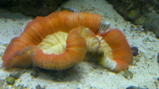 IMAG0658.jpg