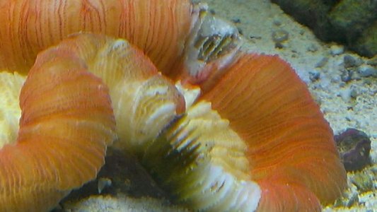 IMAG0657.jpg