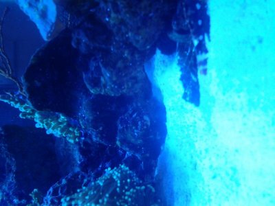 20140216_141811.jpg