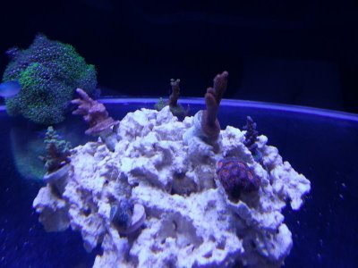 20140305_133659.jpg