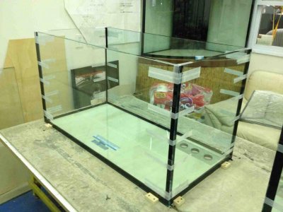 Aquarium Curing SM.jpg