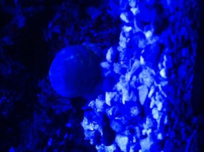 IMG_0200.jpg IMG_0200.jpg