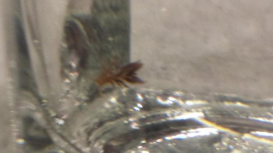 20140310_012403.jpg