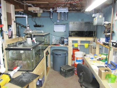 basement fishroom.jpg