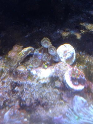 140312_0005.jpg