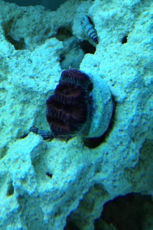 IMG_7652.jpg